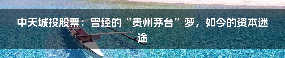 中天城投股票:曾经的“贵州茅台”梦,如今的资本迷途