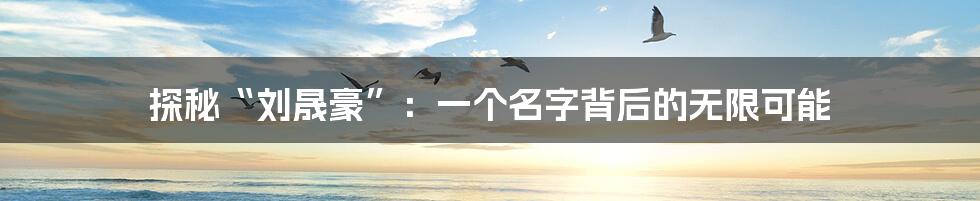 探秘“刘晟豪”：一个名字背后的无限可能