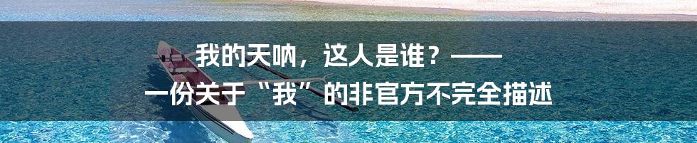 我的天呐，这人是谁？—— 一份关于“我”的非官方不完全描述
