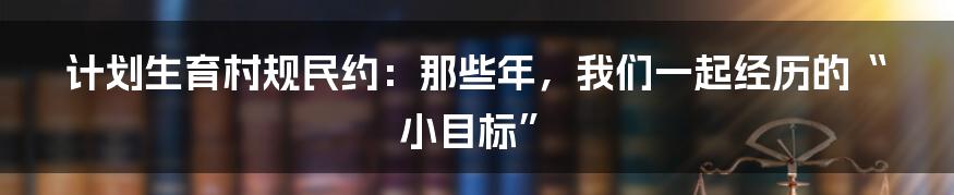 计划生育村规民约:那些年,我们一起经历的“小目标”