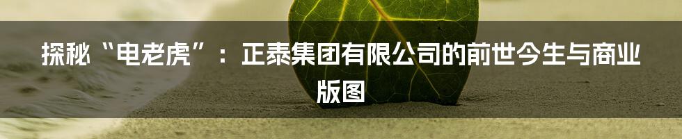 探秘“电老虎”：正泰集团有限公司的前世今生与商业版图