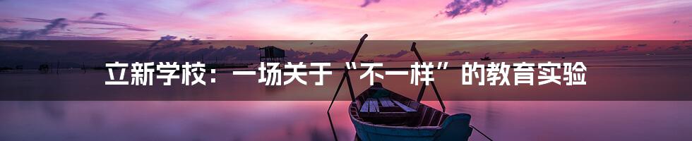 立新学校:一场关于“不一样”的教育实验