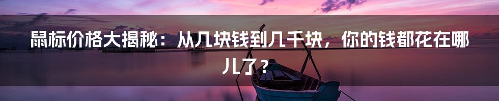 鼠标价格大揭秘：从几块钱到几千块，你的钱都花在哪儿了？