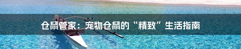 仓鼠管家：宠物仓鼠的“精致”生活指南
