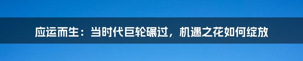 应运而生:当时代巨轮碾过,机遇之花如何绽放