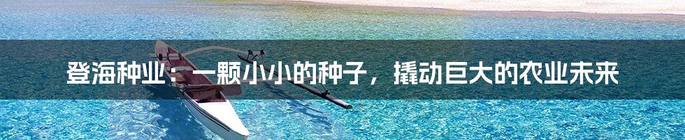 登海种业：一颗小小的种子，撬动巨大的农业未来