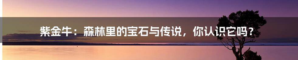 紫金牛:森林里的宝石与传说,你认识它吗?