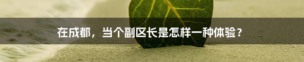 在成都,当个副区长是怎样一种体验?