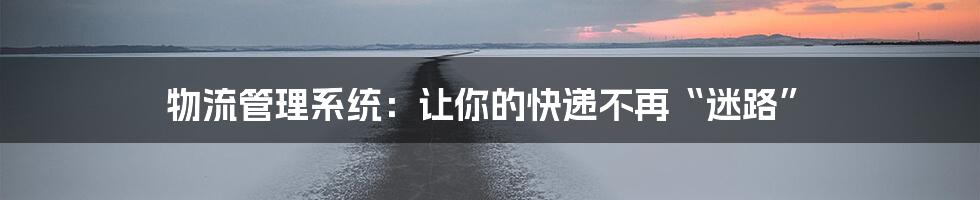 物流管理系统:让你的快递不再“迷路”