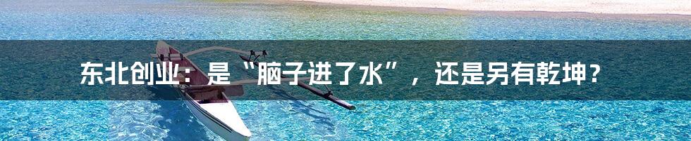 东北创业：是“脑子进了水”，还是另有乾坤？