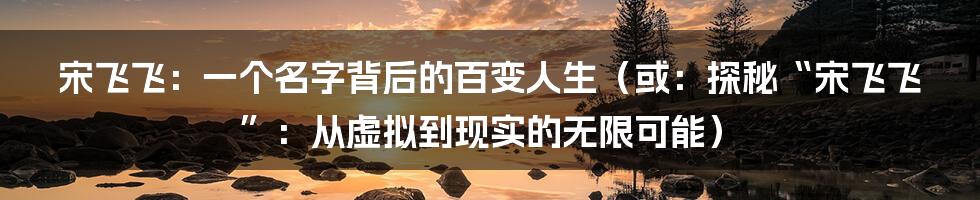 宋飞飞:一个名字背后的百变人生(或:探秘“宋飞飞”:从虚拟到现实的无限可能)