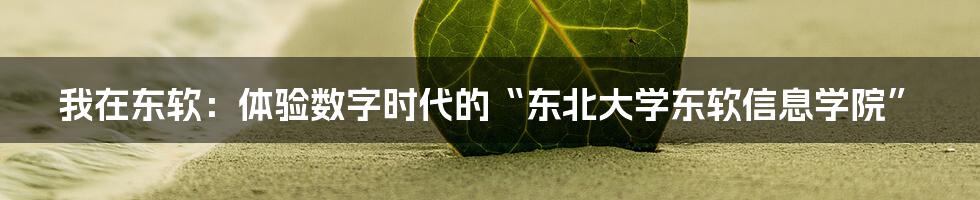 我在东软：体验数字时代的“东北大学东软信息学院”