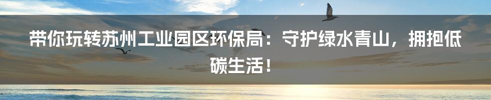 带你玩转苏州工业园区环保局:守护绿水青山,拥抱低碳生活!