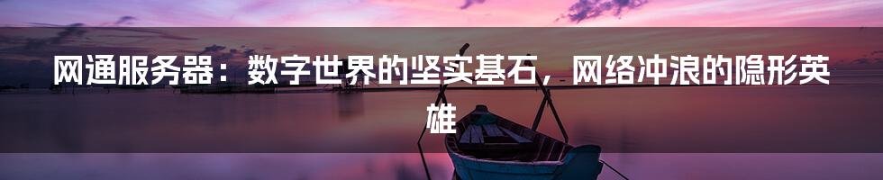 网通服务器：数字世界的坚实基石，网络冲浪的隐形英雄