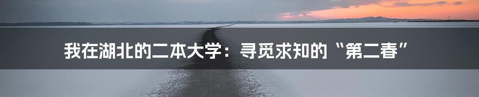 我在湖北的二本大学:寻觅求知的“第二春”
