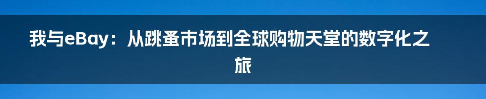我与eBay:从跳蚤市场到全球购物天堂的数字化之旅