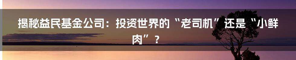 揭秘益民基金公司：投资世界的“老司机”还是“小鲜肉”？