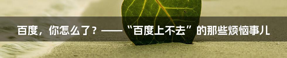 百度，你怎么了？——“百度上不去”的那些烦恼事儿
