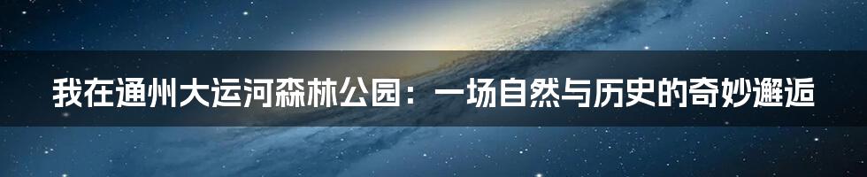 我在通州大运河森林公园:一场自然与历史的奇妙邂逅