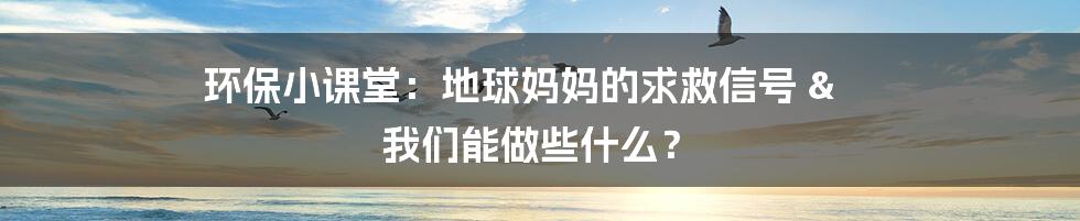 环保小课堂:地球妈妈的求救信号 & 我们能做些什么?