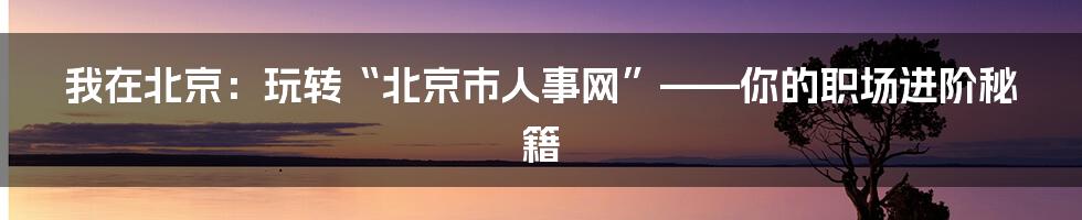 我在北京：玩转“北京市人事网”——你的职场进阶秘籍
