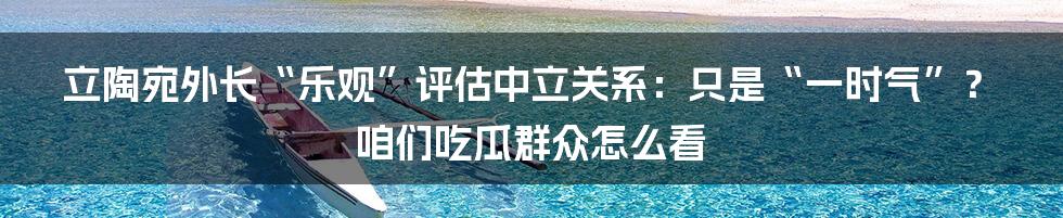 立陶宛外长“乐观”评估中立关系:只是“一时气”? 咱们吃瓜群众怎么看