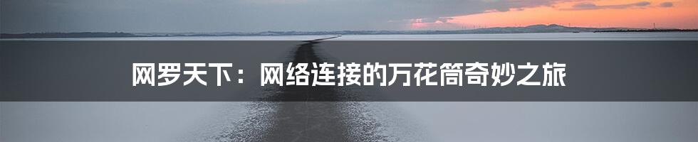 网罗天下:网络连接的万花筒奇妙之旅