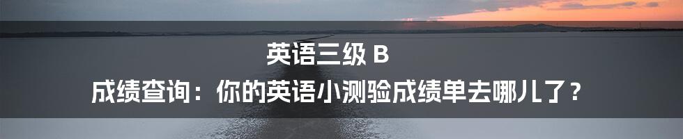 英语三级 B 成绩查询：你的英语小测验成绩单去哪儿了？