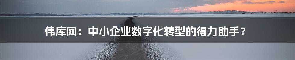 伟库网：中小企业数字化转型的得力助手？
