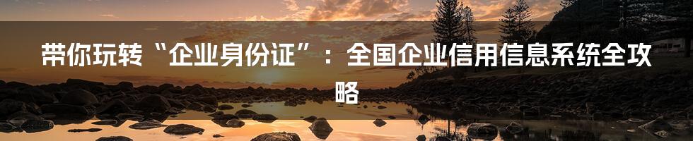 带你玩转“企业身份证”：全国企业信用信息系统全攻略