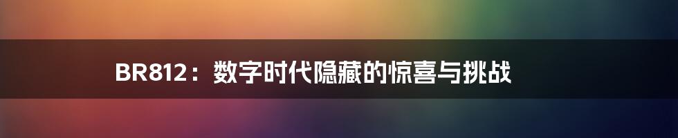 BR812：数字时代隐藏的惊喜与挑战