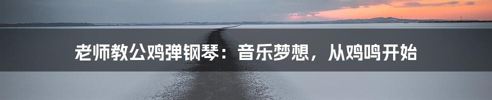 老师教公鸡弹钢琴:音乐梦想,从鸡鸣开始