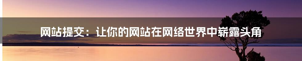 网站提交:让你的网站在网络世界中崭露头角