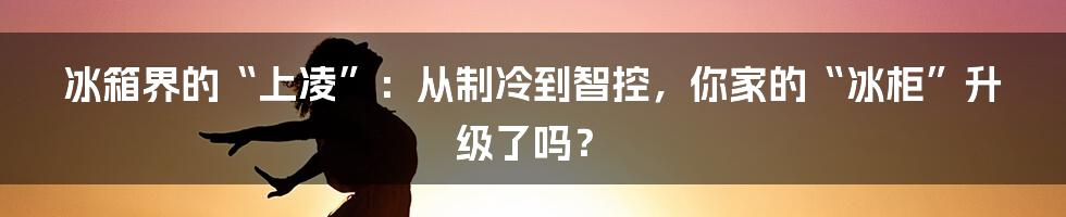 冰箱界的“上凌”:从制冷到智控,你家的“冰柜”升级了吗?