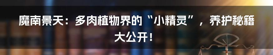魔南景天：多肉植物界的“小精灵”，养护秘籍大公开！