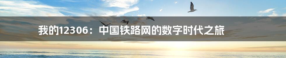 我的12306：中国铁路网的数字时代之旅