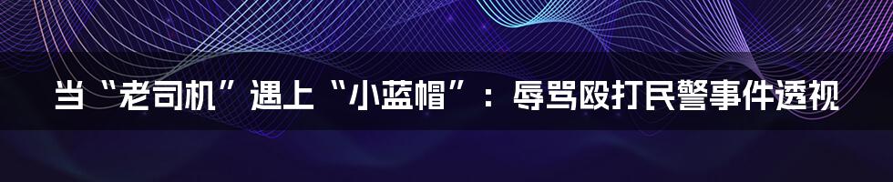 当“老司机”遇上“小蓝帽”：辱骂殴打民警事件透视