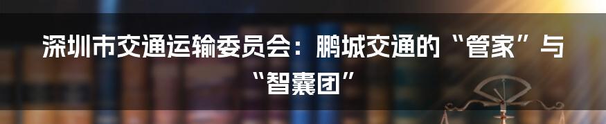 深圳市交通运输委员会：鹏城交通的“管家”与“智囊团”