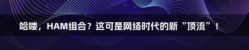 哈喽,HAM组合?这可是网络时代的新“顶流”!