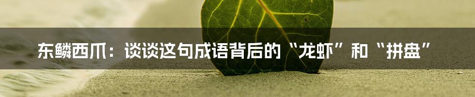 东鳞西爪：谈谈这句成语背后的“龙虾”和“拼盘”