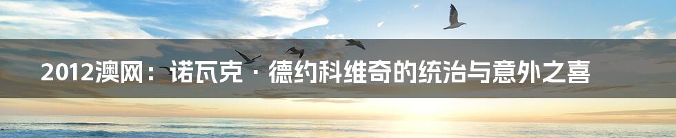 2012澳网：诺瓦克·德约科维奇的统治与意外之喜