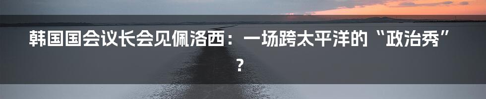 韩国国会议长会见佩洛西:一场跨太平洋的“政治秀”?