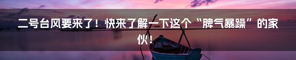 二号台风要来了！快来了解一下这个“脾气暴躁”的家伙！