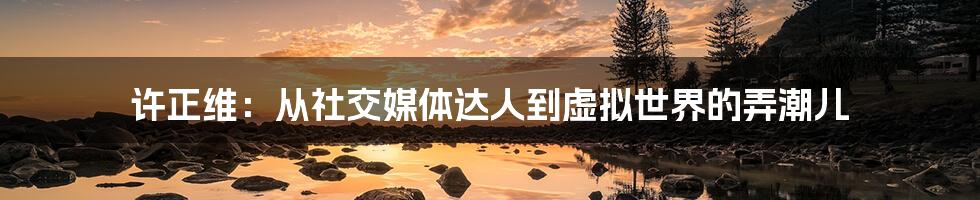 许正维：从社交媒体达人到虚拟世界的弄潮儿