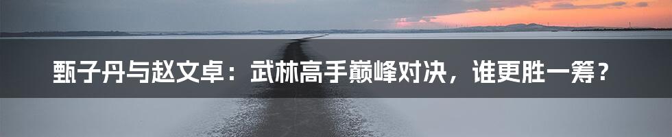 甄子丹与赵文卓:武林高手巅峰对决,谁更胜一筹?