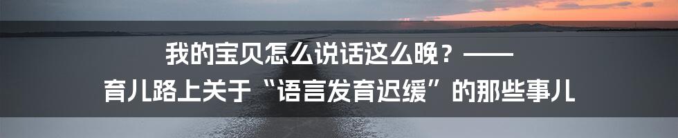 我的宝贝怎么说话这么晚?—— 育儿路上关于“语言发育迟缓”的那些事儿
