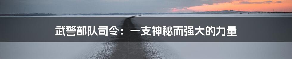 武警部队司令：一支神秘而强大的力量