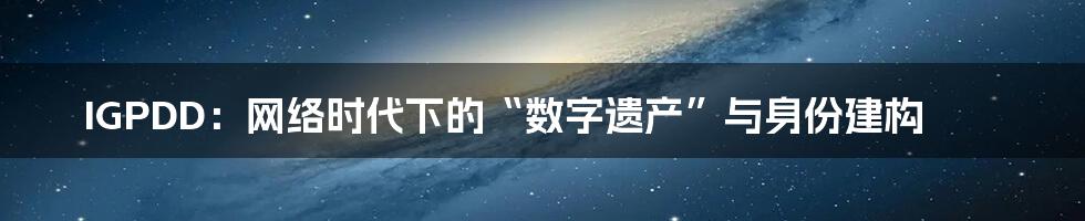 IGPDD：网络时代下的“数字遗产”与身份建构