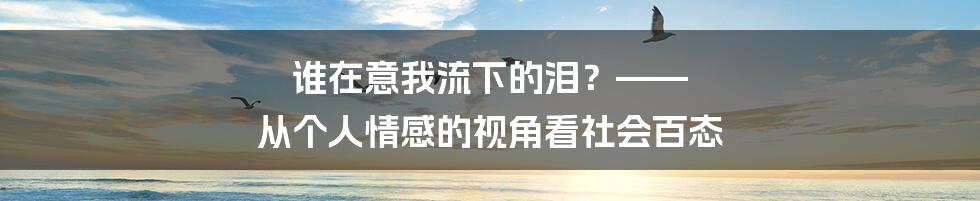 谁在意我流下的泪？—— 从个人情感的视角看社会百态