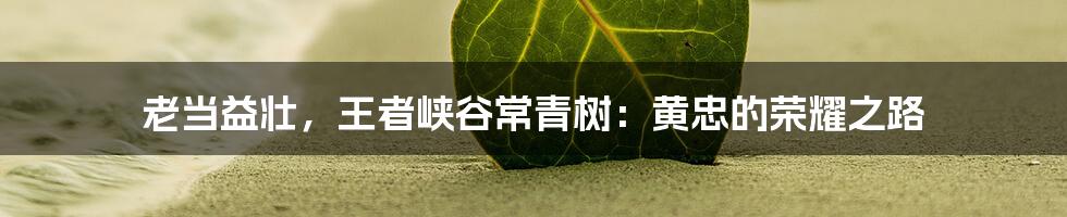 老当益壮，王者峡谷常青树：黄忠的荣耀之路